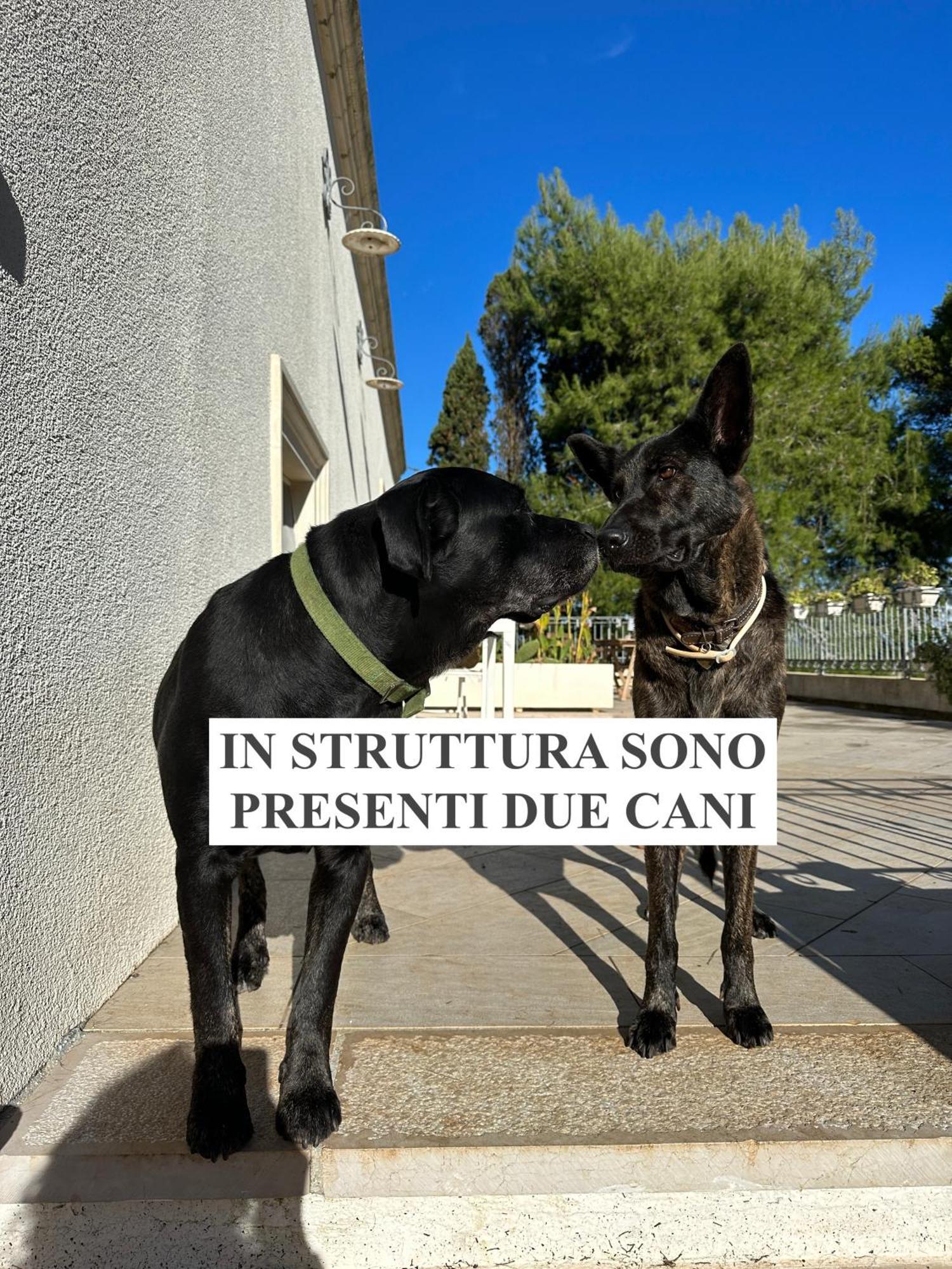 La Dimora Di Ulisse Aparthotel Santa Cesarea Terme Eksteriør bilde